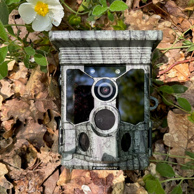 How Do Trail Cameras Work Campark Focus on Cameras