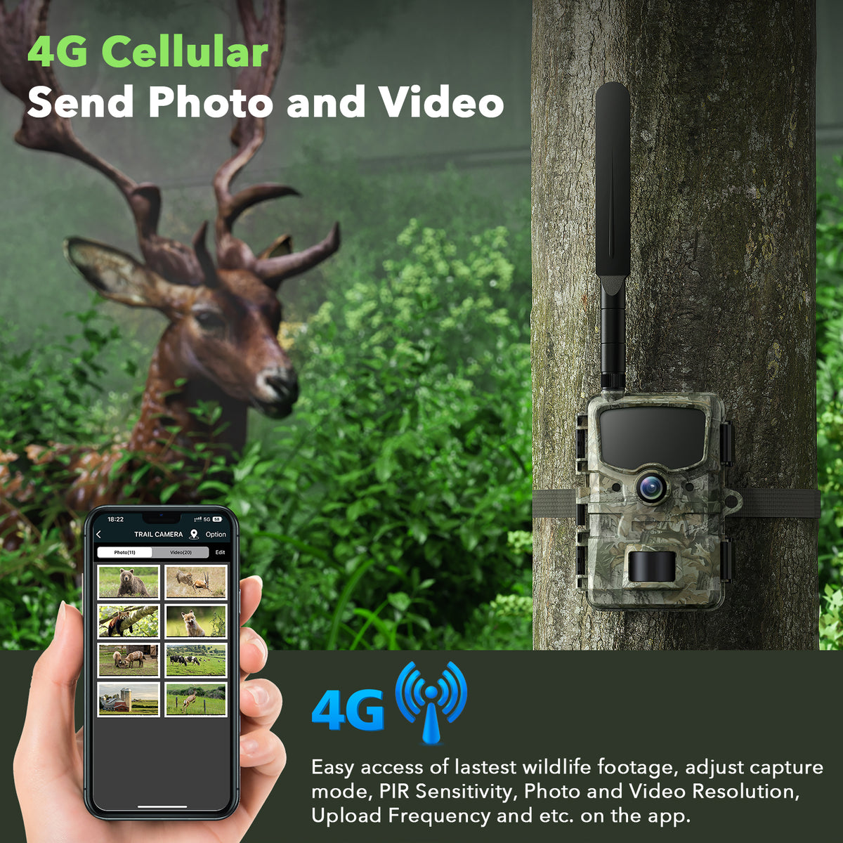 Campark TC20 24MP 4G LTE Cellular Trail Camera Wireless View Outdoor G Campark Focus on Cameras