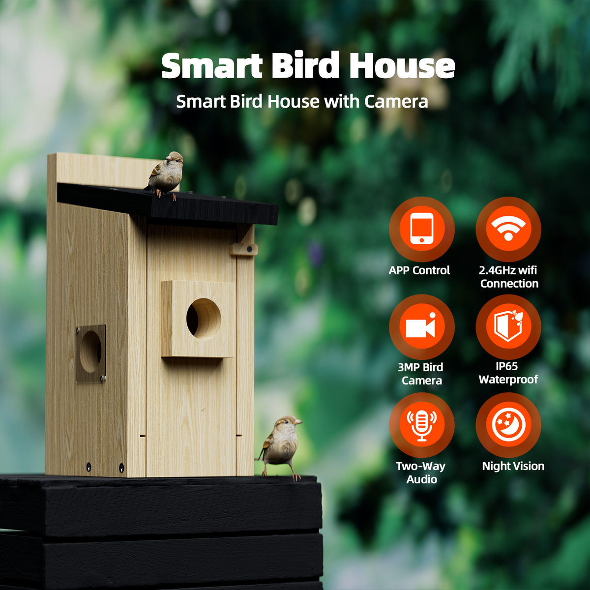 Security Diy Birdhouse Camera Campark BH10 3MP Smart Wooden Bird