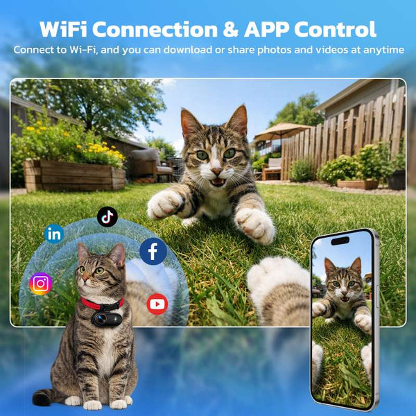 WiFi App Control