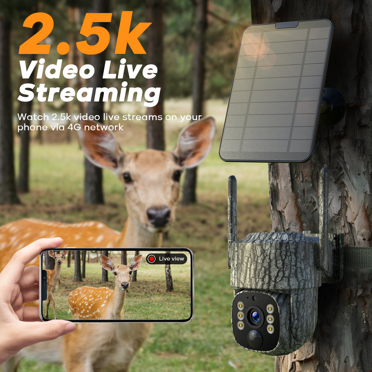 Campark TC32 Cellular Trail Camera with Live Streaming