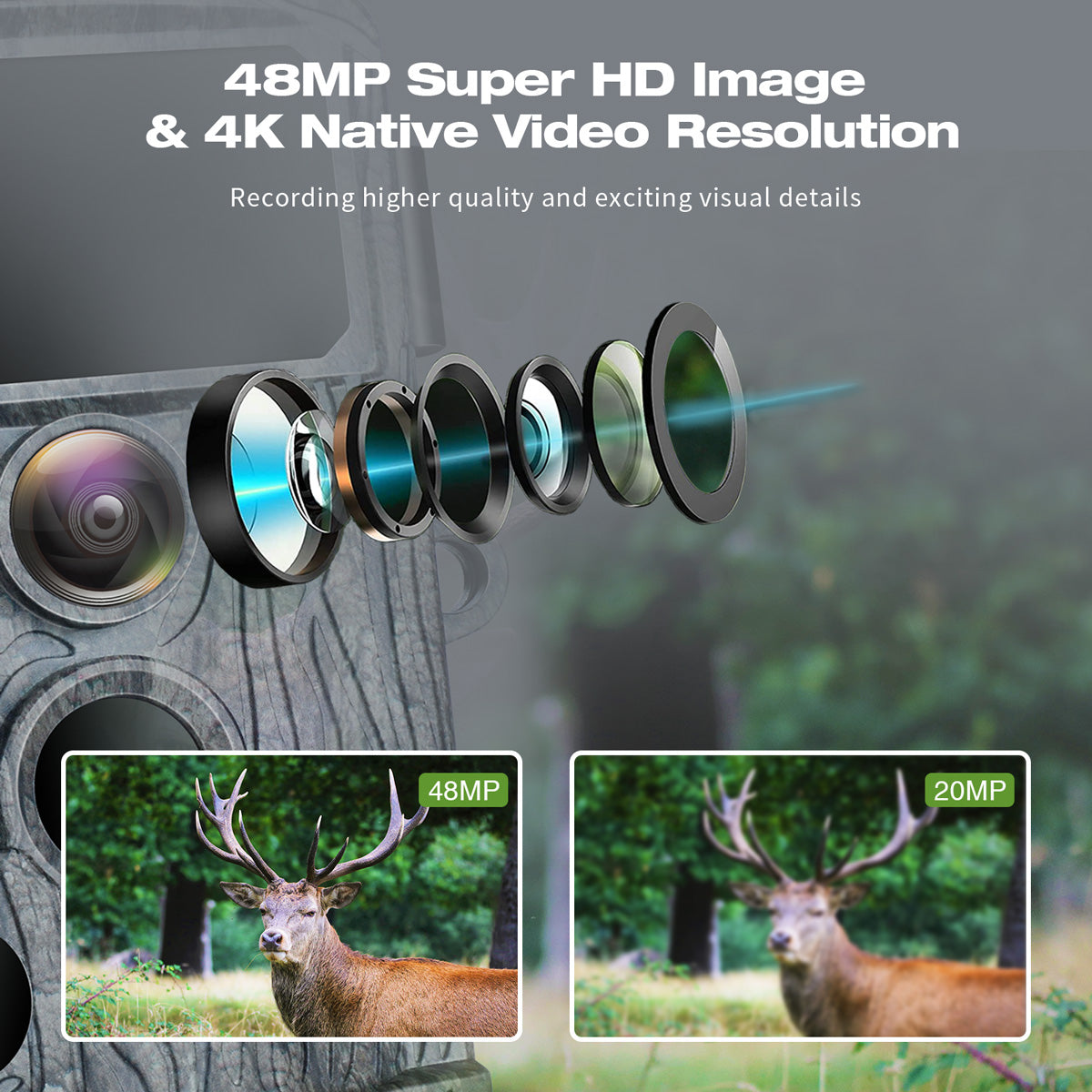 4K Trail Camera With No Glow Night Vision Captures Crystal Clear 