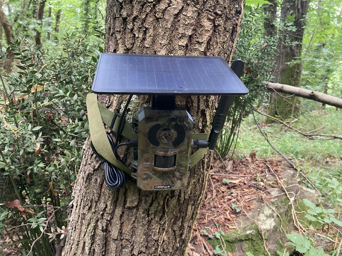 Proper Installation and Use of Trail Cameras – Campark - Focus on Cameras