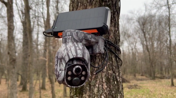 Cellular Trail Camera Has Power and Signal but Won't Take Photos? Quick Fixes