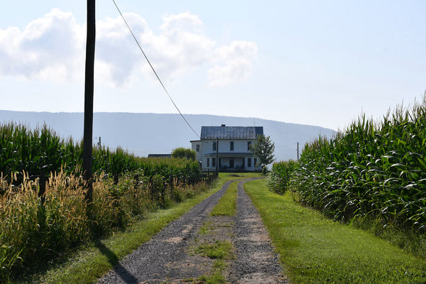 How to Monitor a Gate or Long Driveway Without Wi-Fi