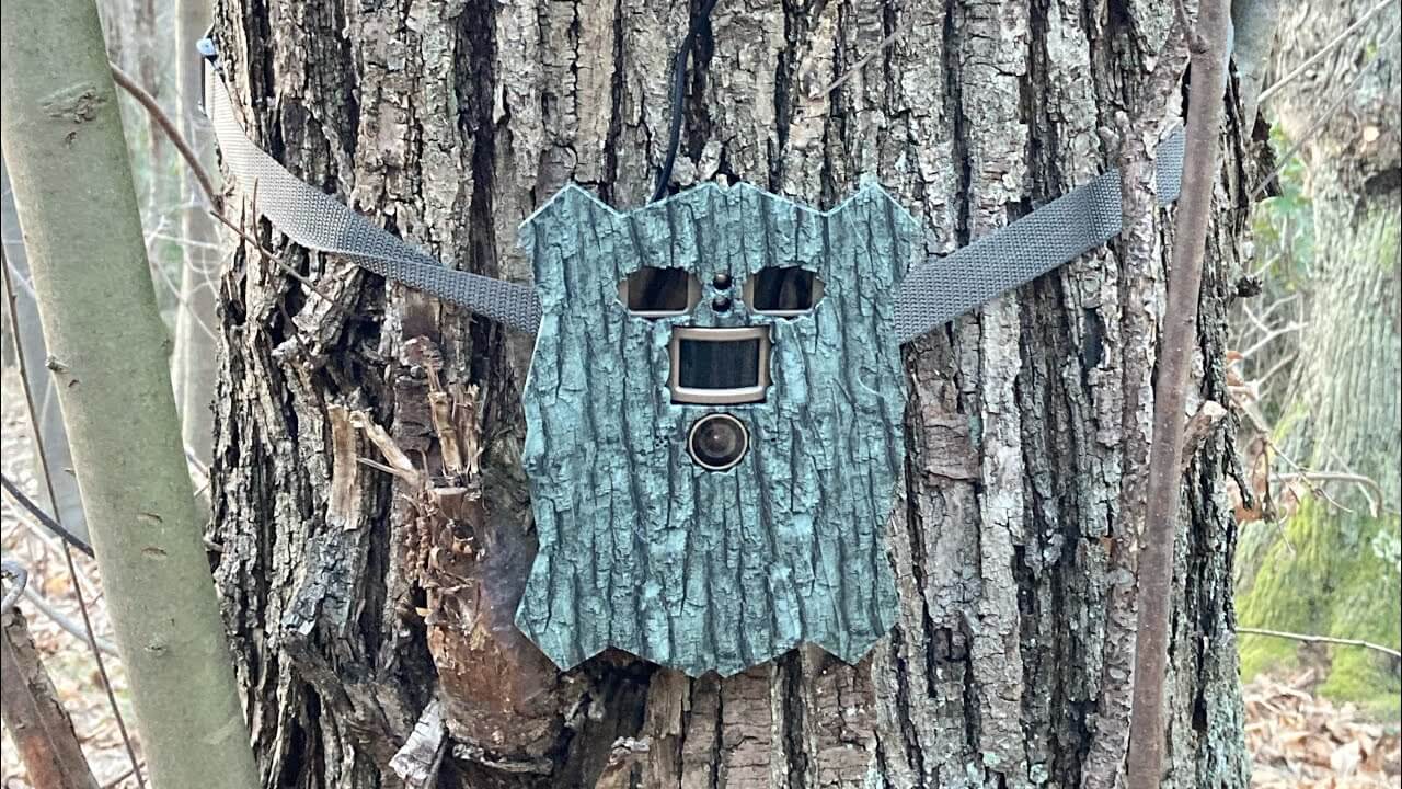 Campark TC21 Trail Camera: In-Depth Review & Test Footage