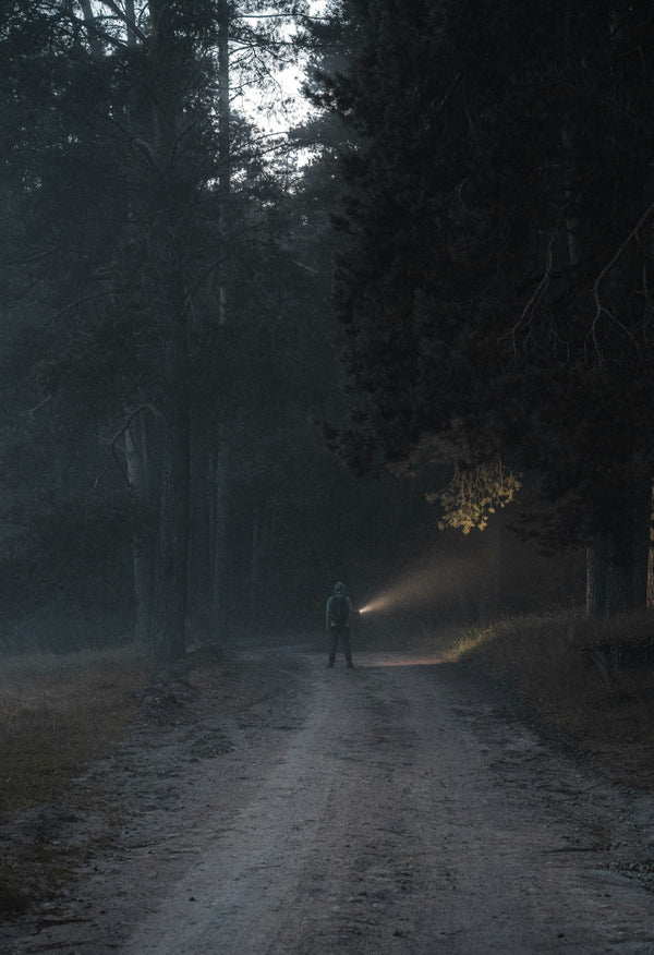What Was That? 3 Creepy Trail Camera Stories from Reddit