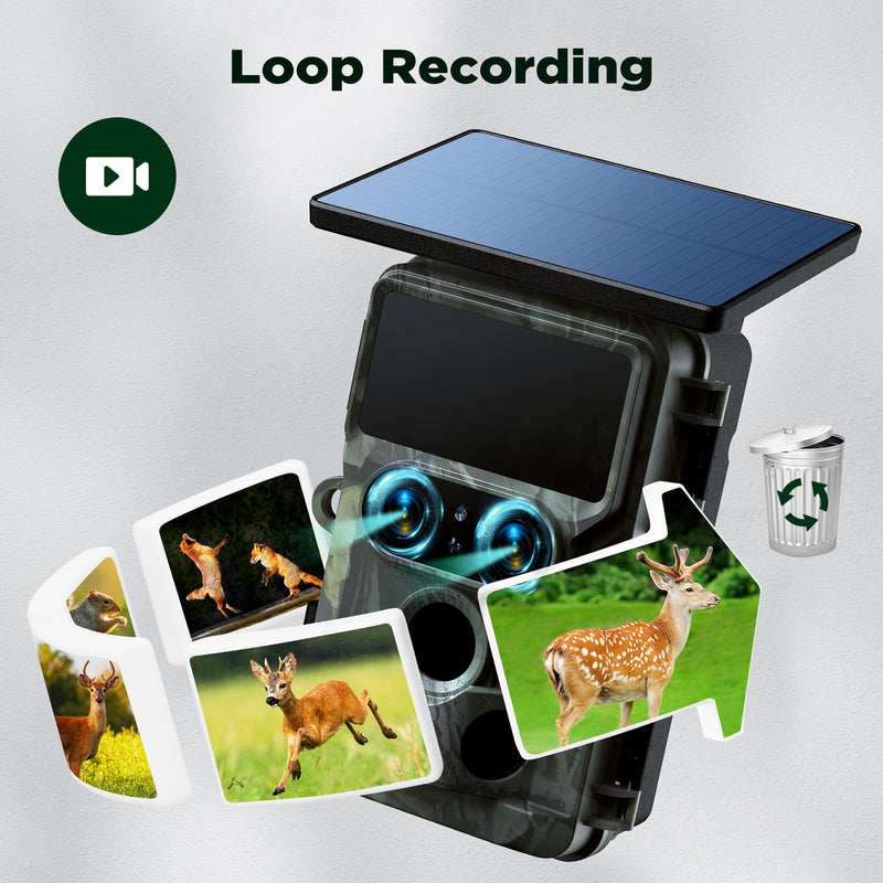 Loop Recording — Always Fresh, Never Full