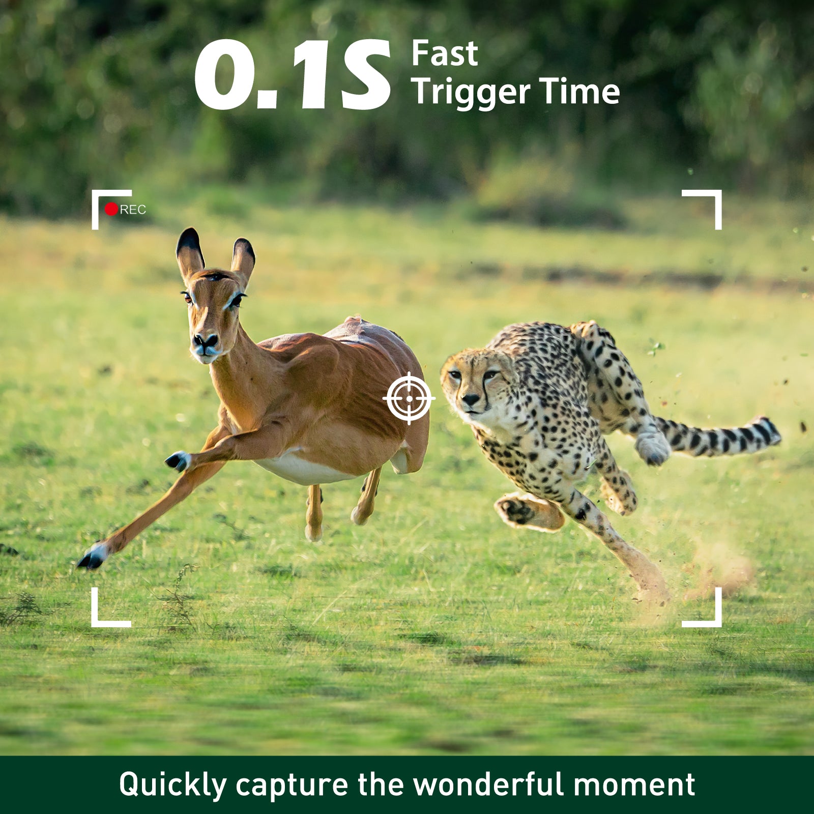 Trail Camera with 2.0‘’ LCD and Time Lapse for Wildlife Monitor