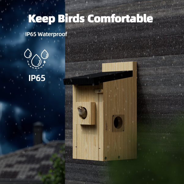 Campark BH10 3MP Smart Wooden Bird House with Camera Two-way Audio Night Vision and Waterproof