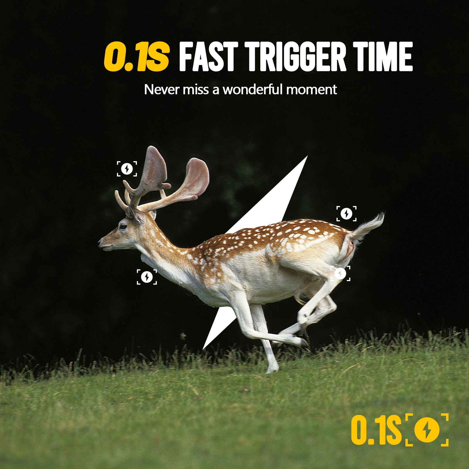 Campark TC28 WiFi Bluetooth Solarbetriebene 32MP 1080P mit 850nm Jagdkamera 