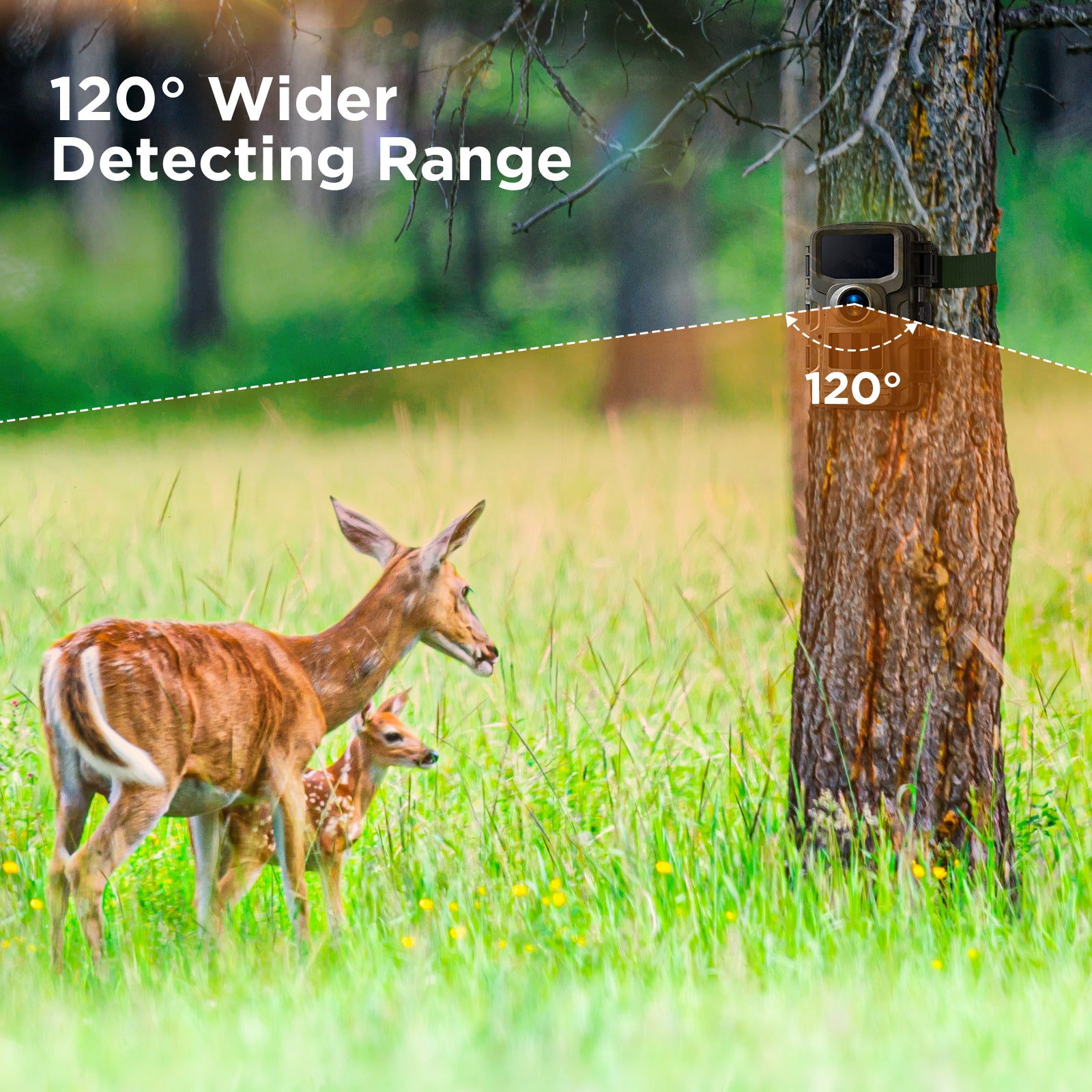 24MP Trail Camera with Night Vision