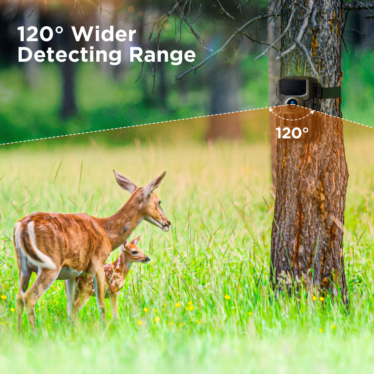 Campark TC23 Full HD 24MP Trail Camera with Night Vision – Campark ...