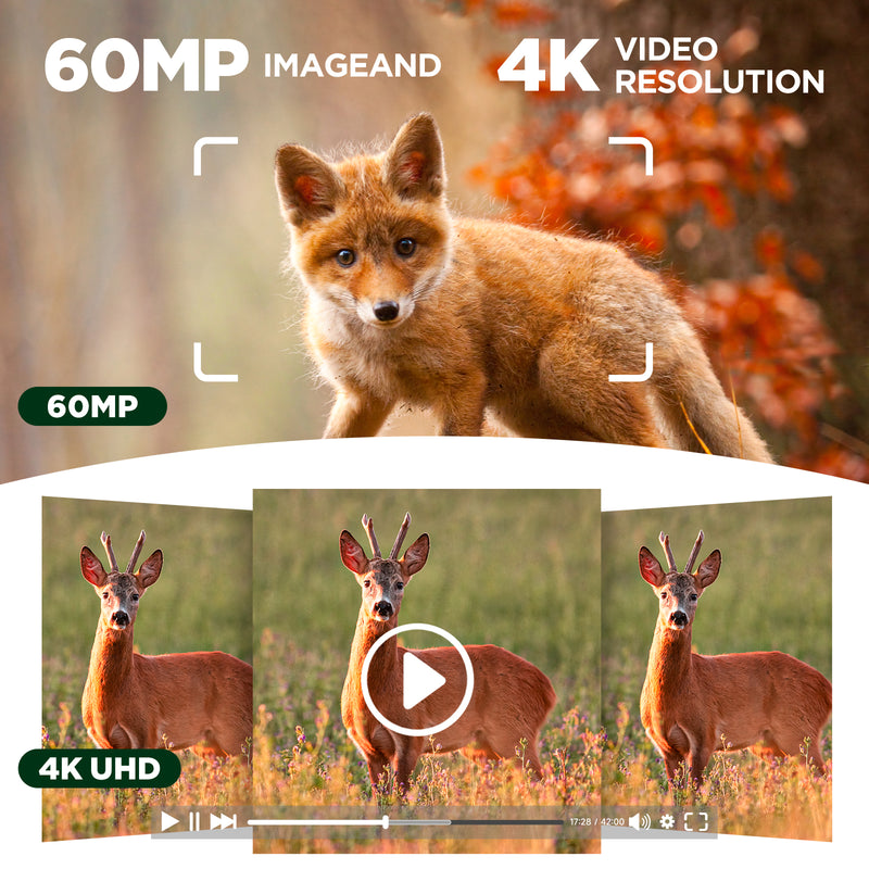4K Original Video · 60MP Ultra-Clear Images