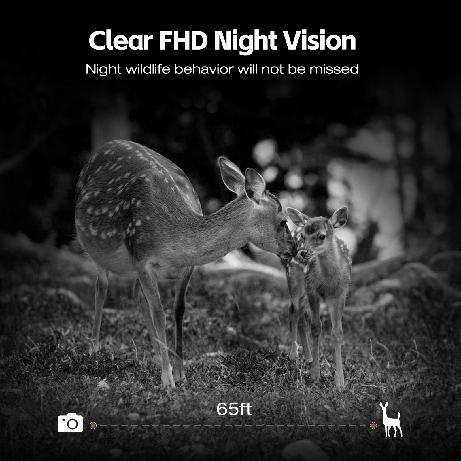 Trail Camera Solar Powered Integrated Game Camera