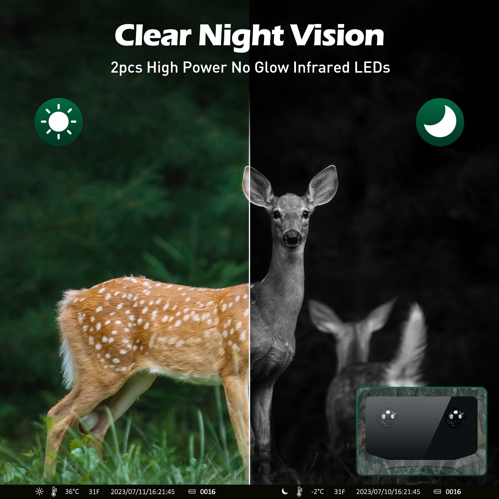 Trail Camera with 2.0‘’ LCD and Time Lapse for Wildlife Monitor