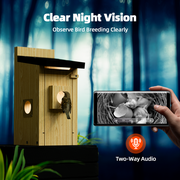 Campark BH10 3MP Smart Wooden Bird House with Camera Two-way Audio Night Vision and Waterproof