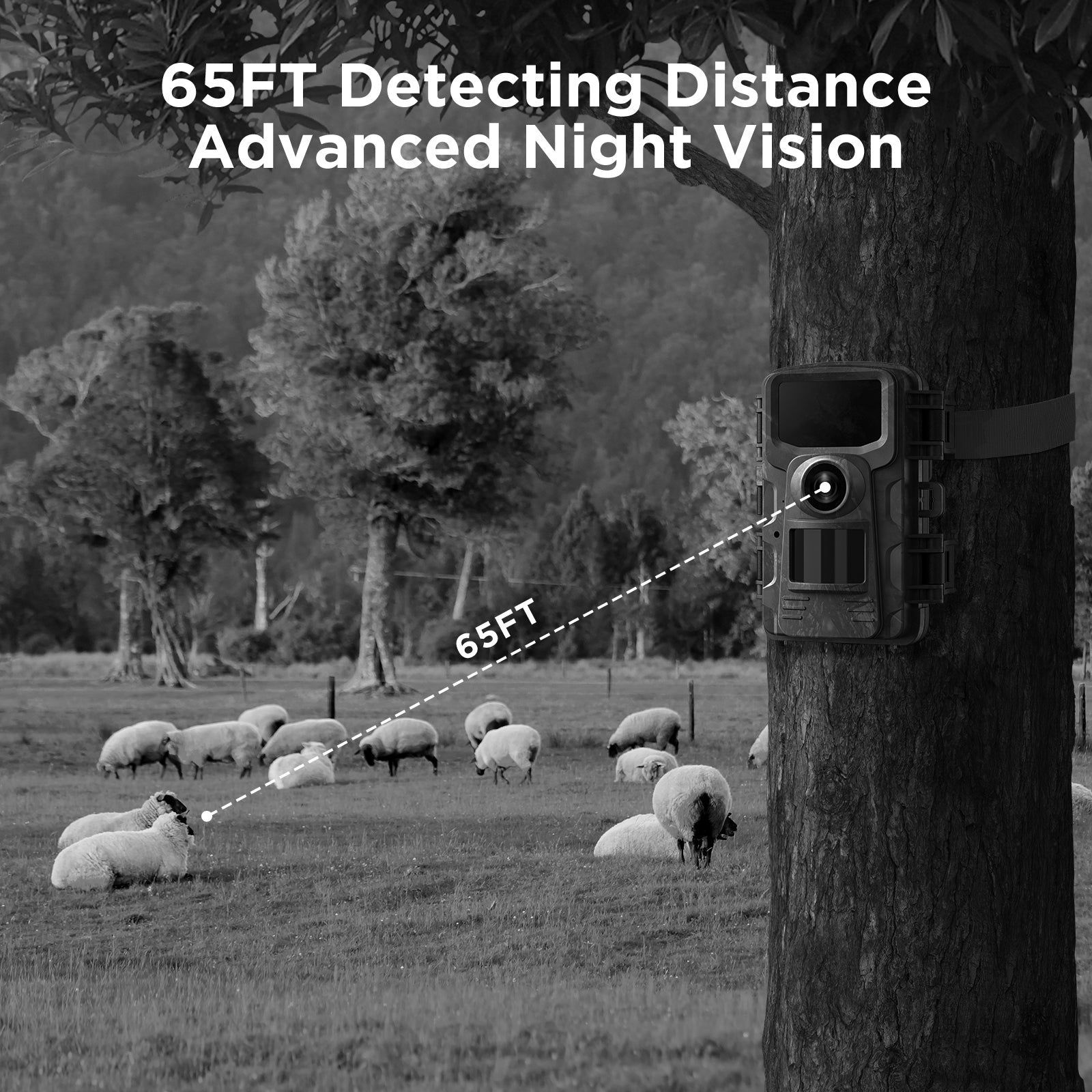 Campark TC23 Full HD 24MP Trail Camera with Night Vision