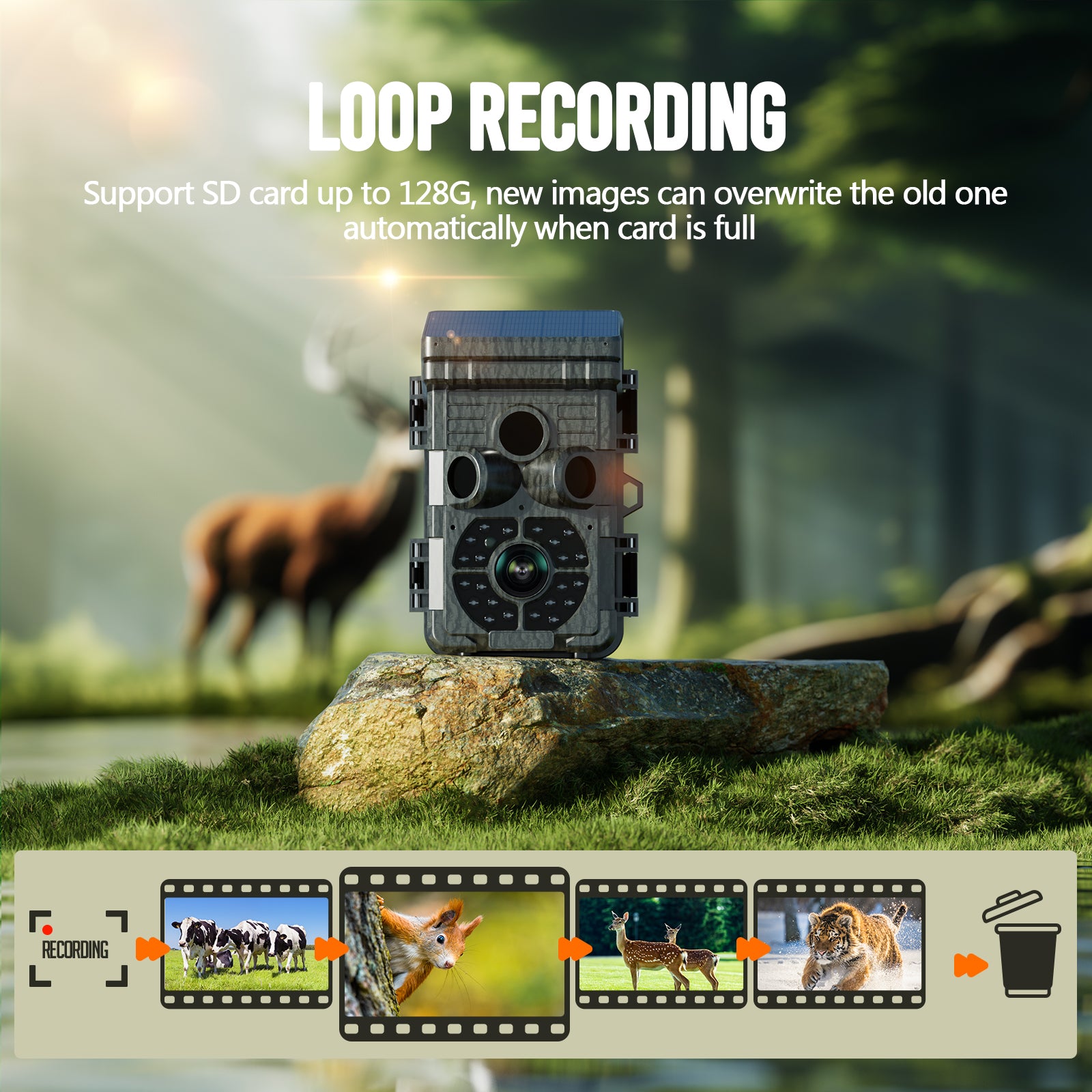 Campark TC28 WiFi Bluetooth Solarbetriebene 32MP 1080P mit 850nm Jagdkamera 