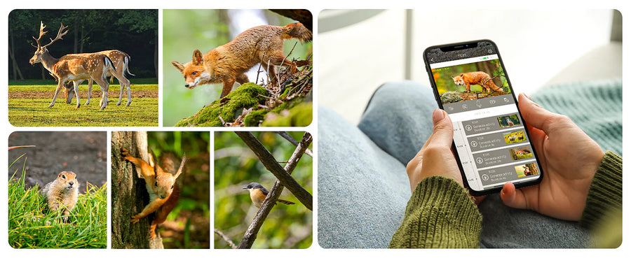 Full Control via the Free CloudEye 365 App