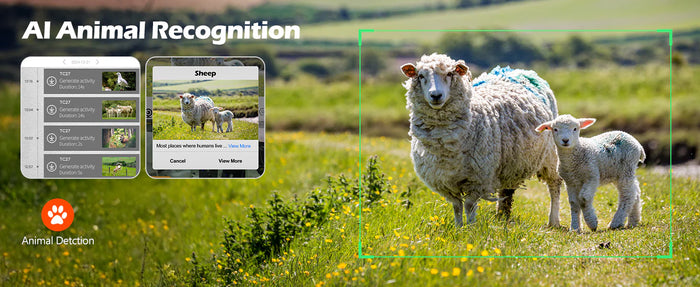 AI Animal Recognition — Now Free for Year One