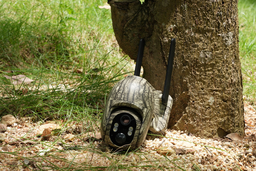 Trail Cameras