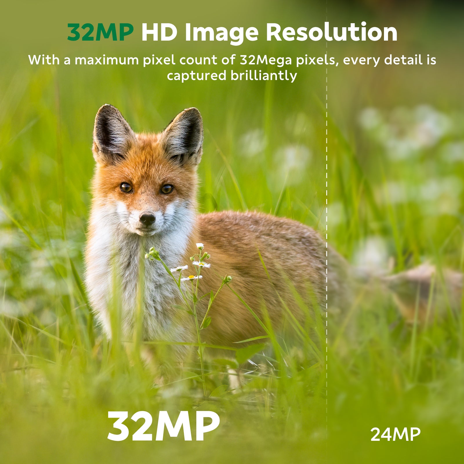 Campark TC29 WIFI Trail Camera, Low Glow Night Vision