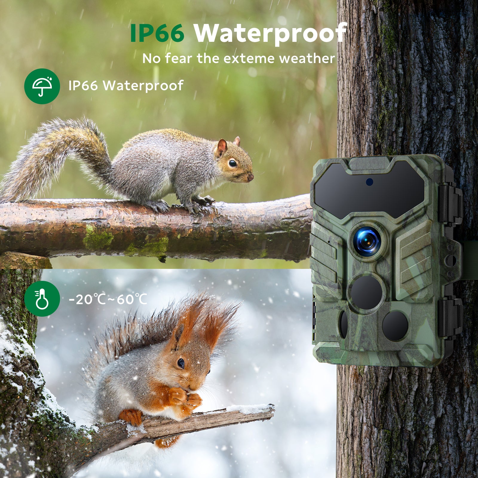 Campark TC29 WIFI Trail Camera, Low Glow Night Vision