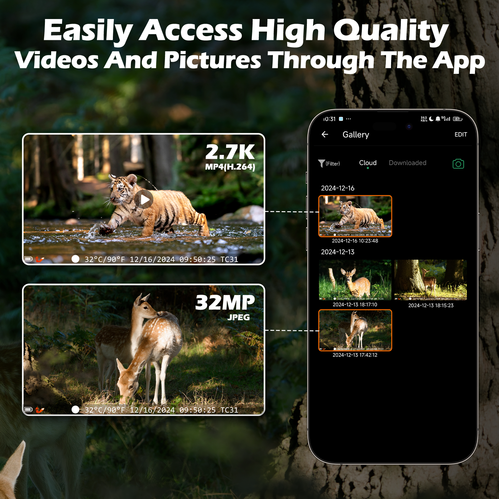 Campark TC31 Cellular Trail Camera,  Built in sim card & Free 64GB storage