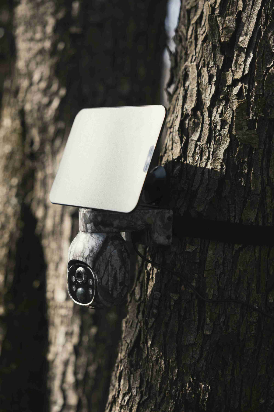 Why People Choose the TC17