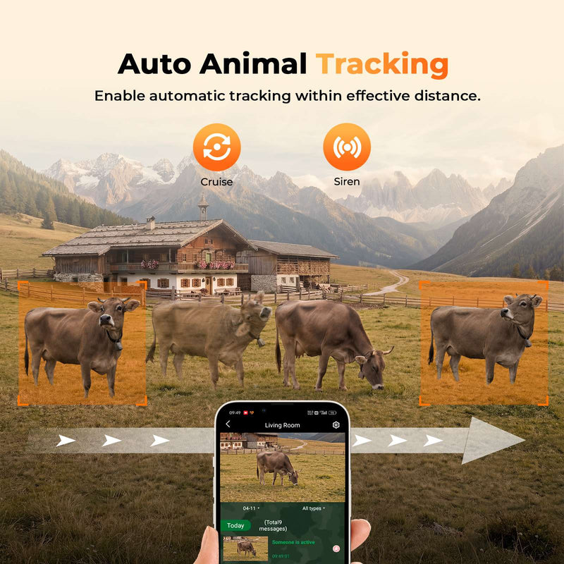 360° View with Auto-Tracking