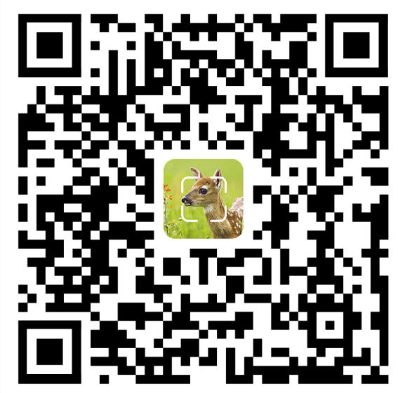 Scan Download the APP TrailCam Go