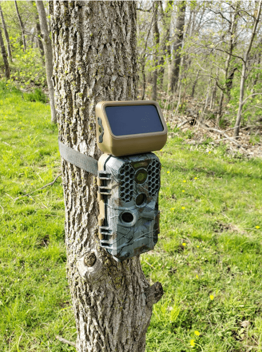 The Campark T200 Trail camera is easy to install and use.  