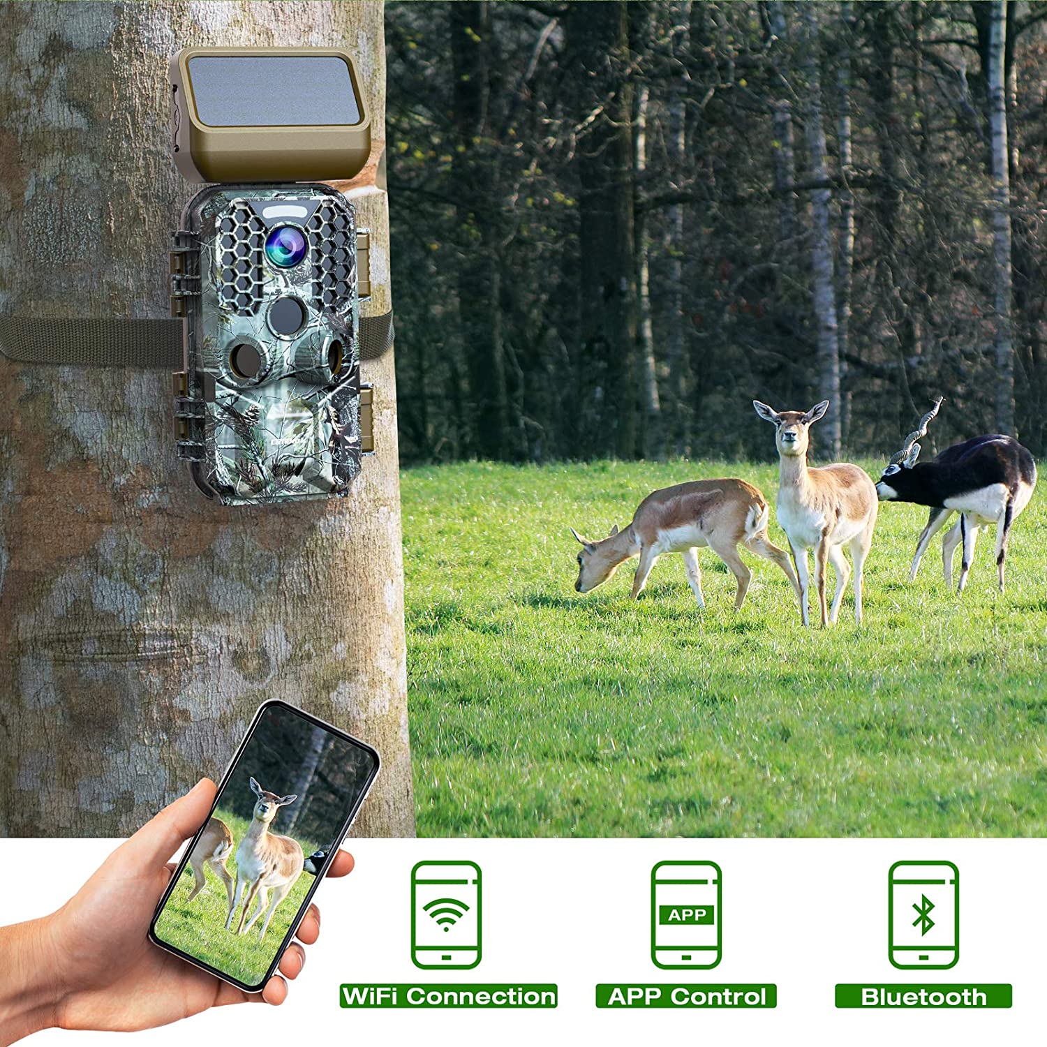 Campark T200 Solar panel Trail Camera supports APP Control & WiFi Bluetooth Connection
