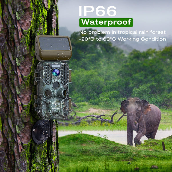 Campark T200 Waterproof Trail Camera