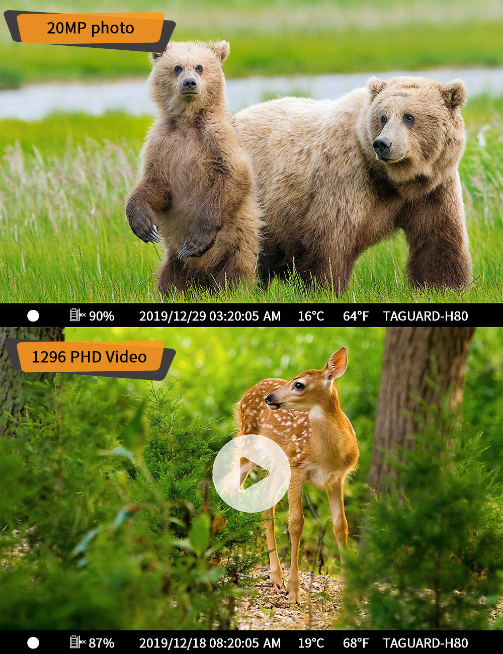 Campark H80 20MP 1296P Wifi Trail Camera with Night Vision Motion Activated for Wildlife