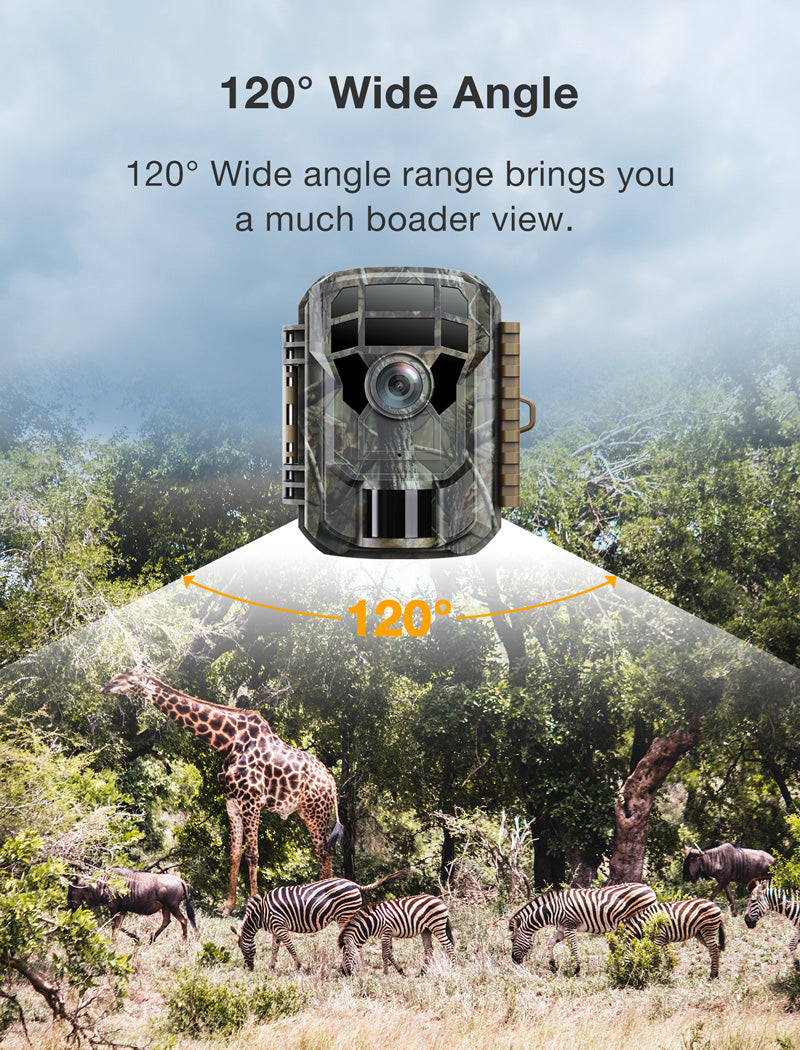 Campark TC11 Full HD 1080P 24MP Easy-To-Hide Mini Trail Camera