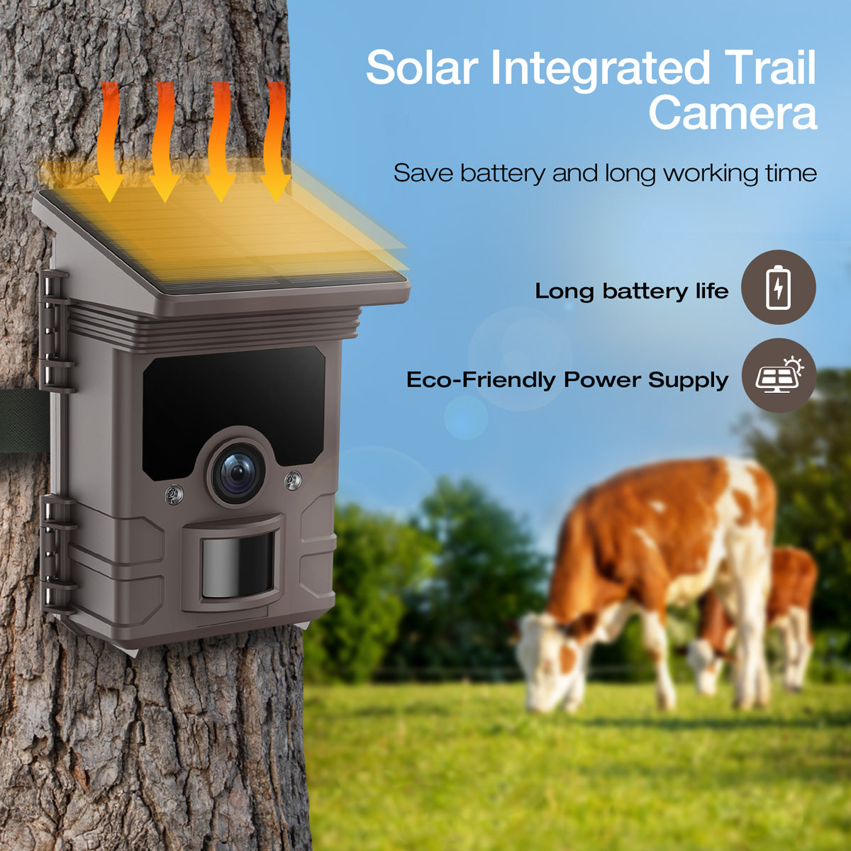 Campark TC09 1080P 32MP Built-in Rechargeable Battery Solar Trail Camera (Out Of Stock In The US)