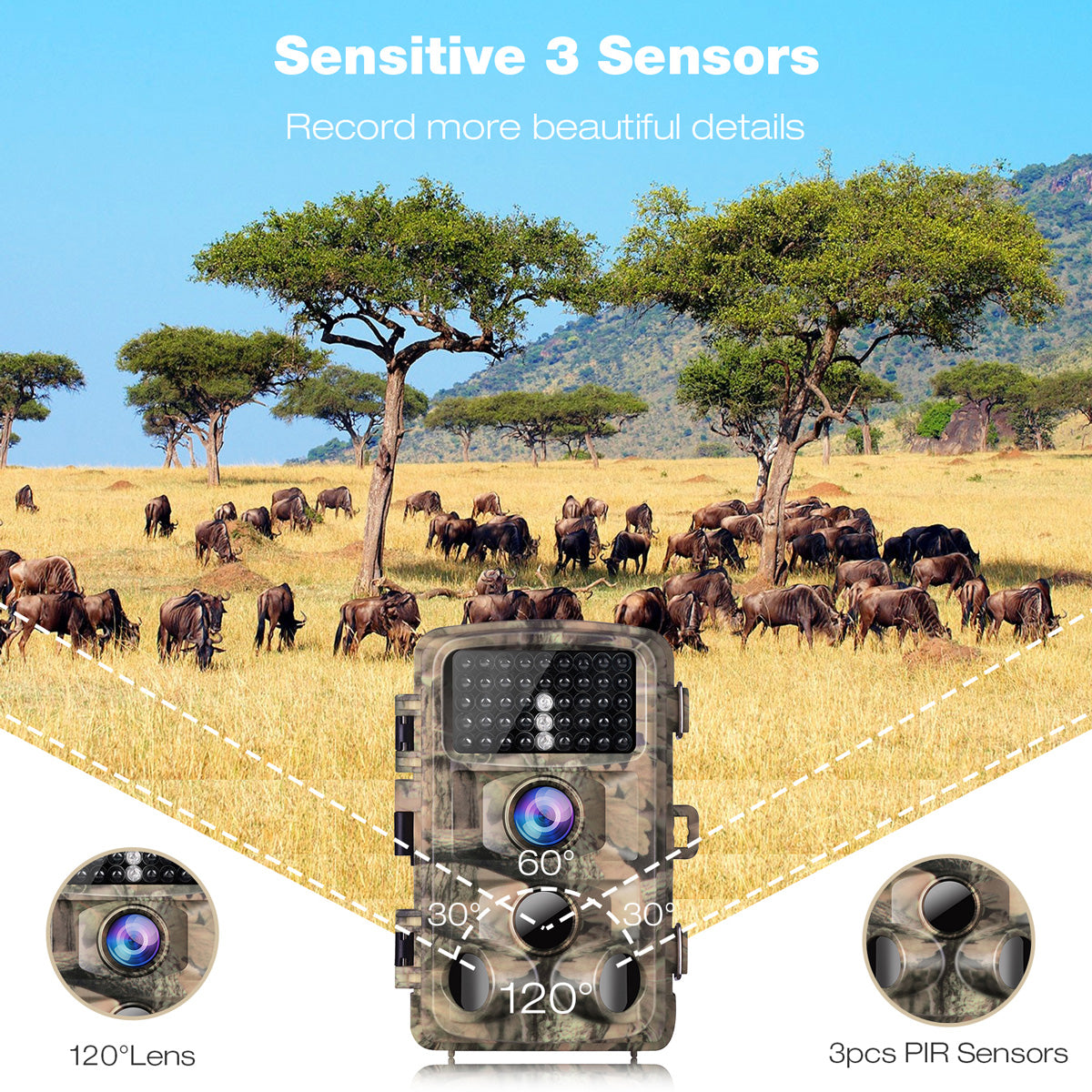 Cheap Trail Cameras For Sale $50 – Campark Focus on Cameras