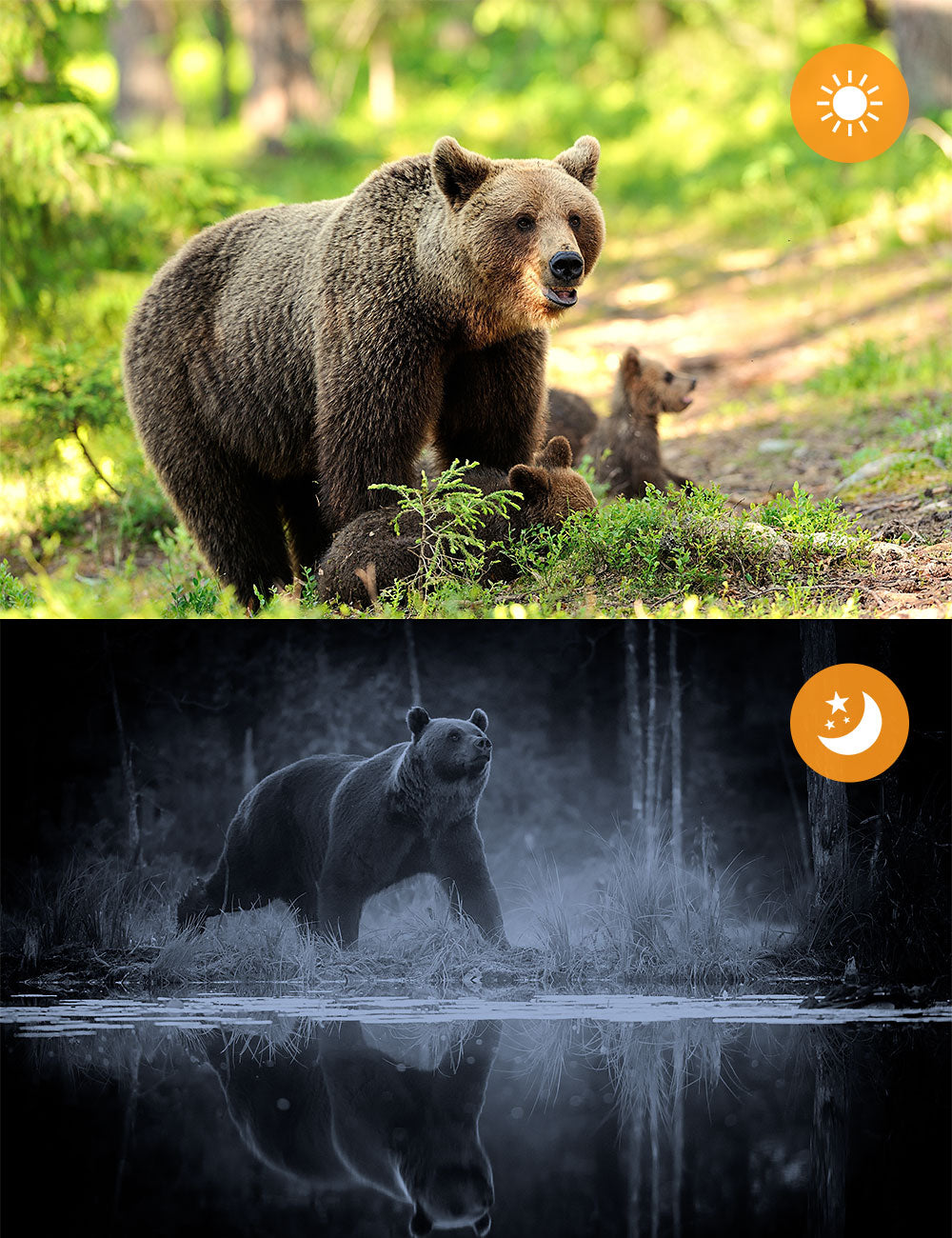 Campark H80 20MP 1296P Wifi Trail Camera with Night Vision Motion Activated for Wildlife