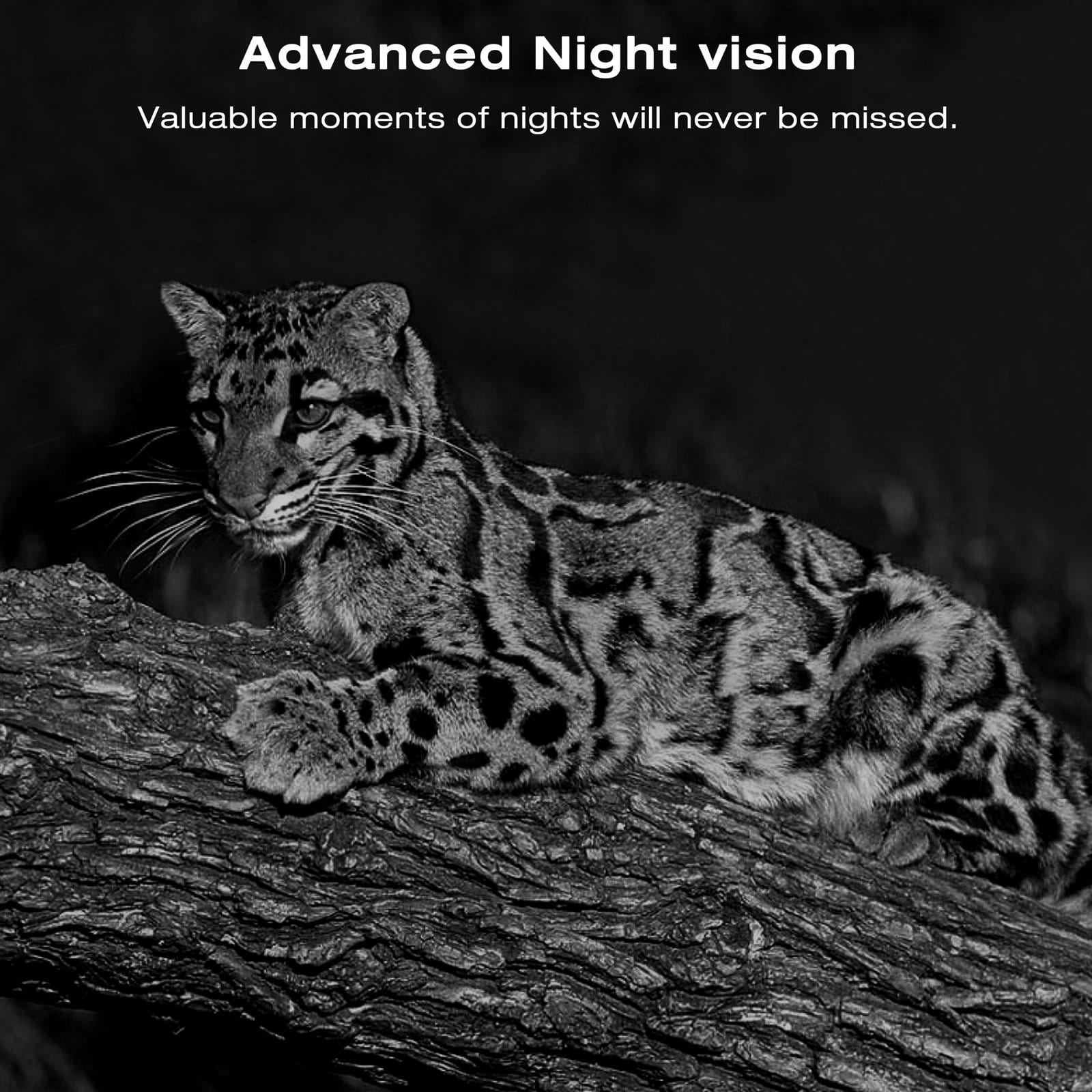 Campark T200 Solar panel Trail Camera has Super Night Vision