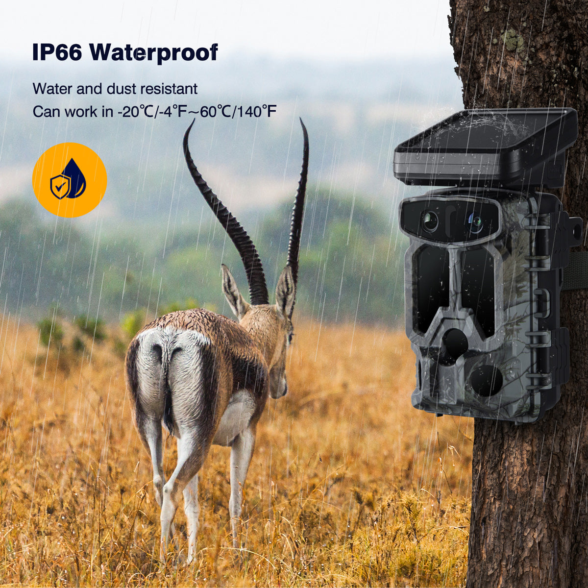 Campark TC07 4K 60MP WiFi Solar Power Dual Lens Wildlife Camera Trail Camera, The Highest-Definition & Performance Game Cam (Out Of Stock In Canada)