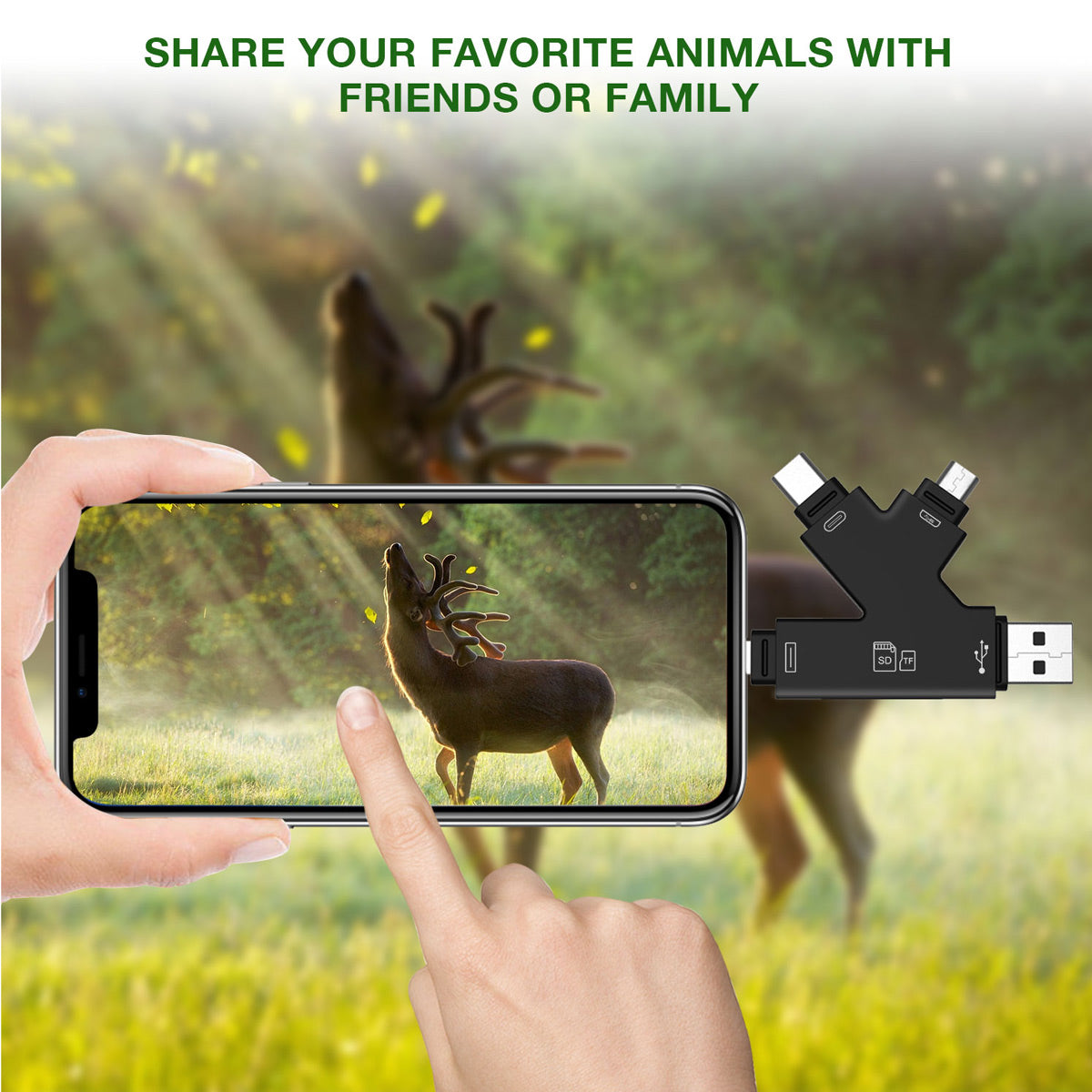 Campark Best Trail Cam Card Viewer CAMPARK 4G Solar Trail Camera
