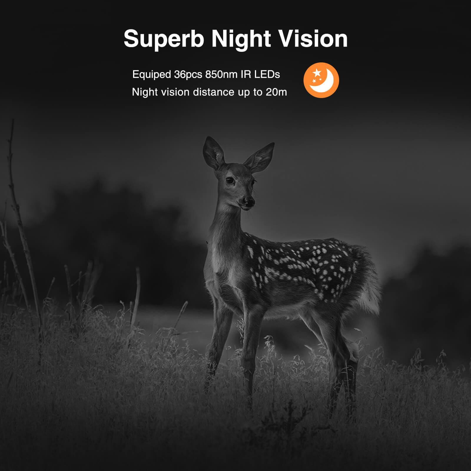 Campark T180/TC08 4K 46MP Solarpanel WiFi Bluetooth Wildkamera