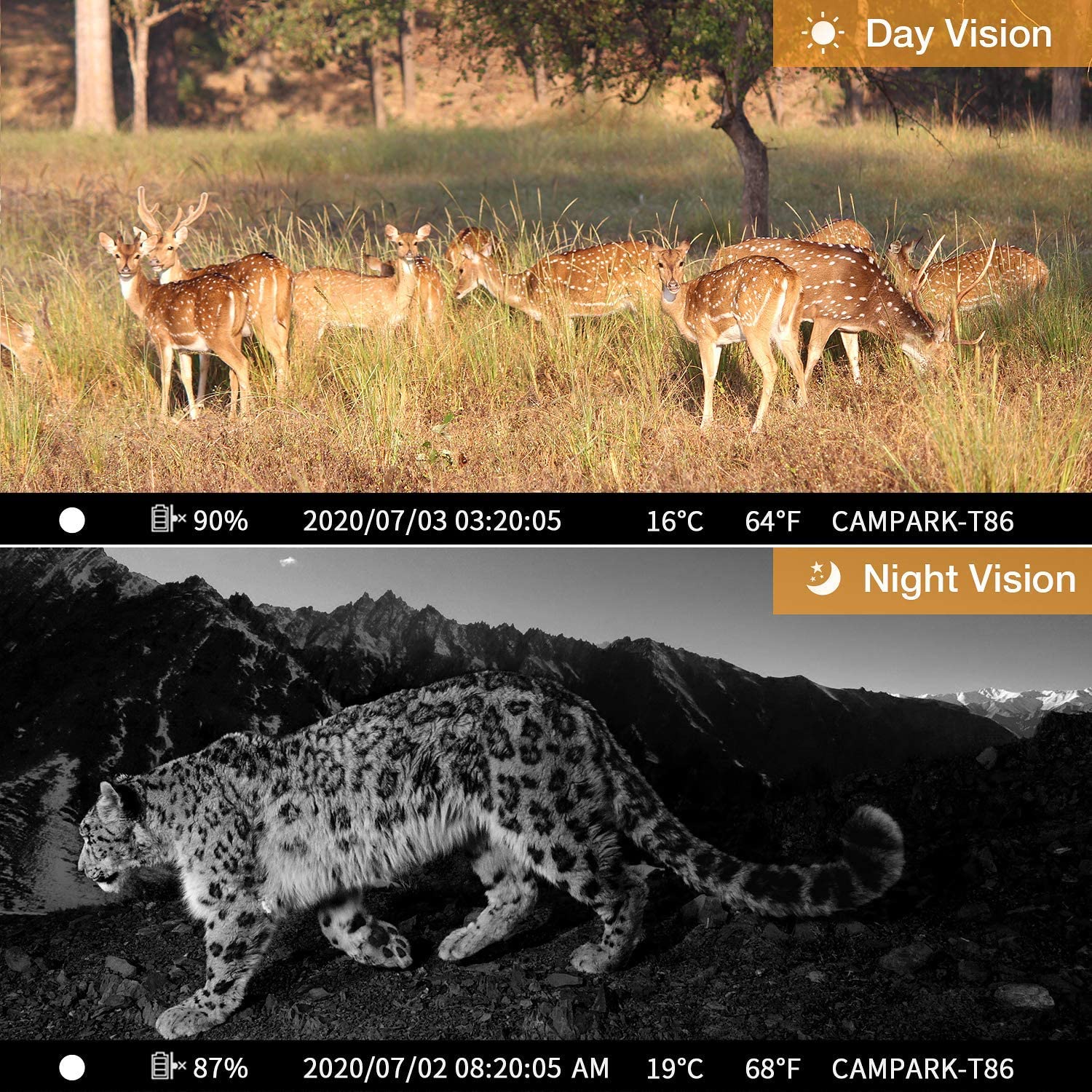 Campark T86 Trail camera's day vision and night vision